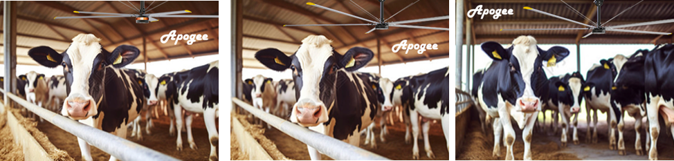 Hvls Farm