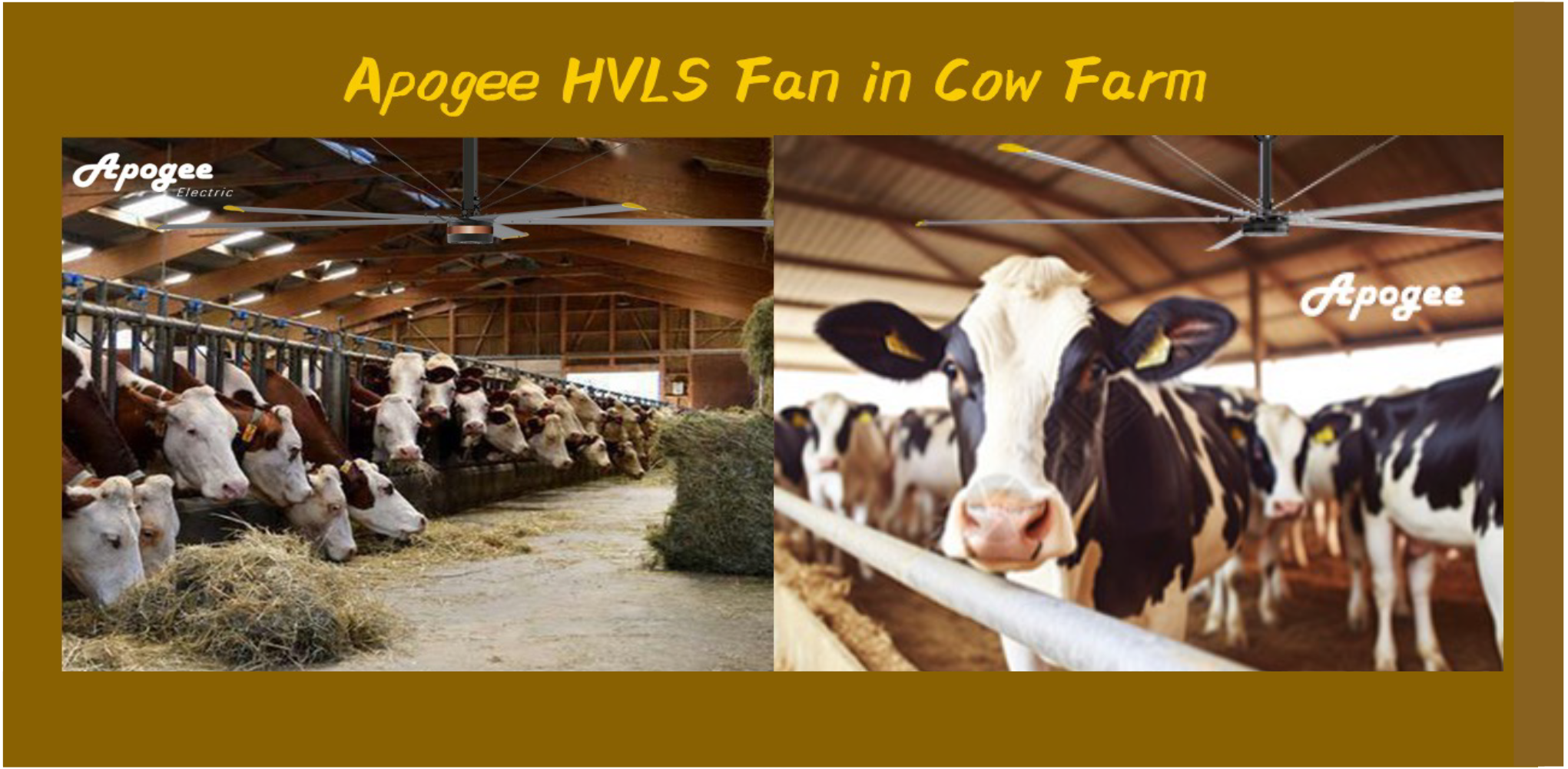 apogee hvls fan