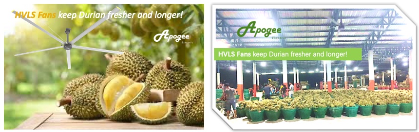 16ft PMSM HVLS Fan for Large Retail Hypermarkets