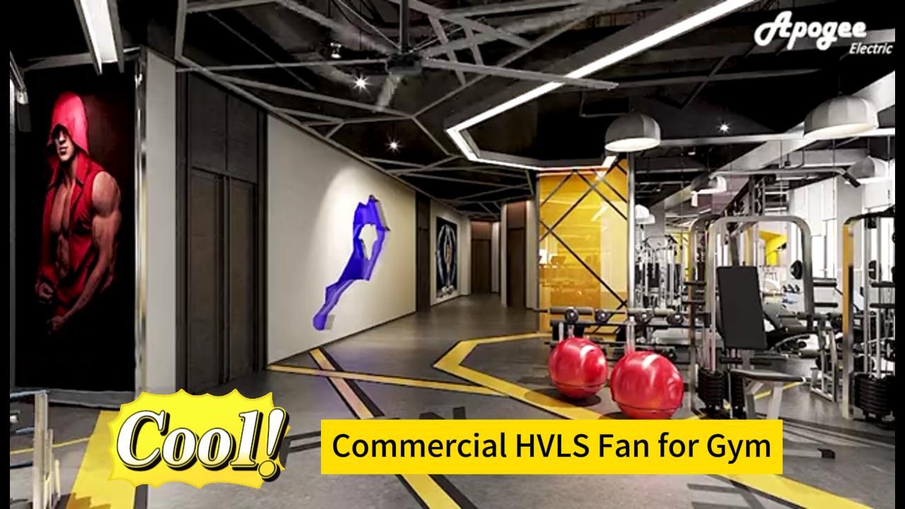 7.3m Big Size Industrial HVLS Fan
