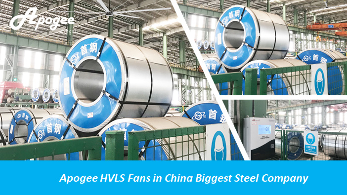 Long Service Life Industrial Ceiling Fan HVLS with PMSM Motor